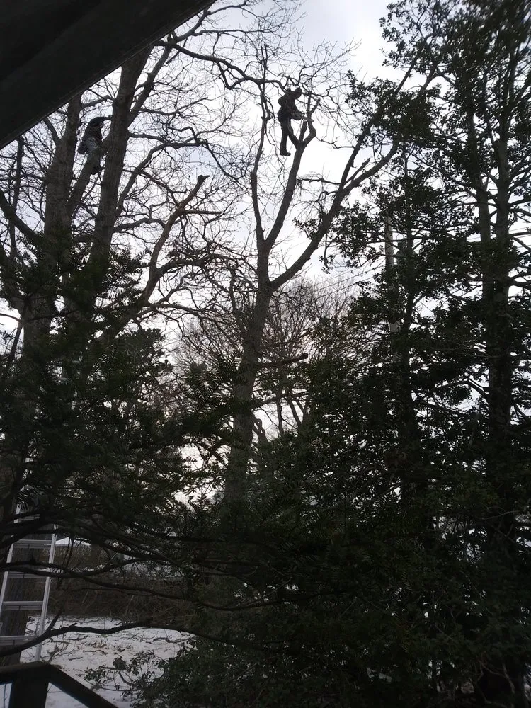 Affordable landscape design in East Quogue, NY by TLC Tree And Lawncare