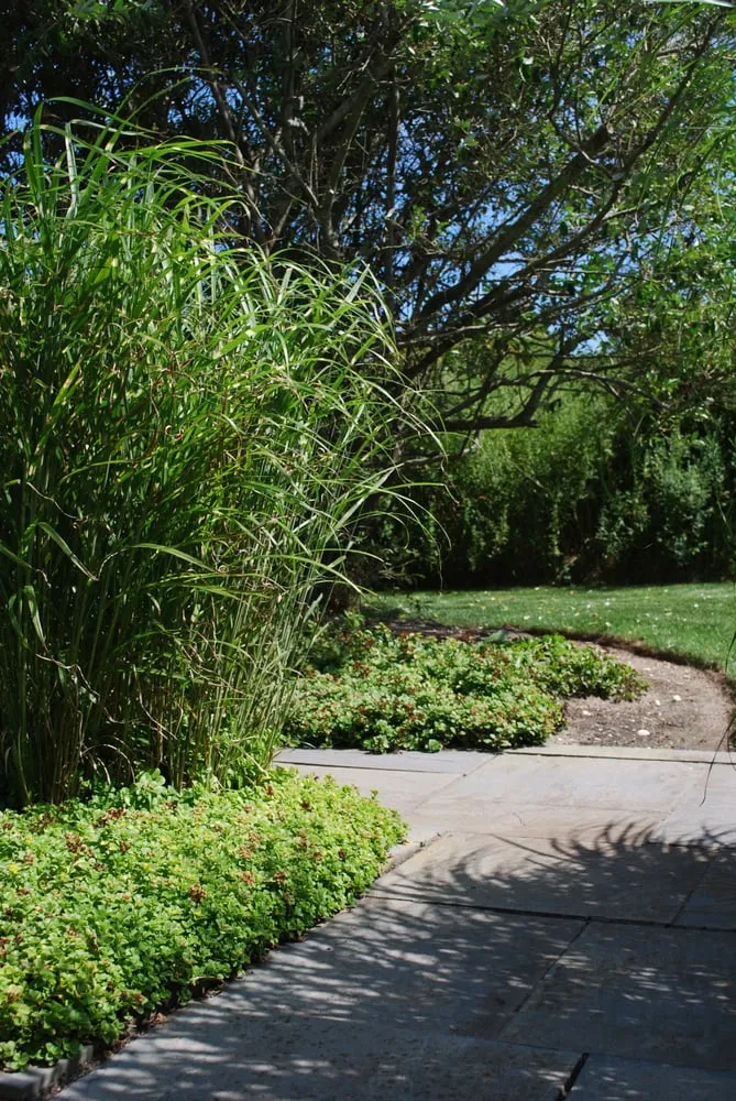 Custom garden landscaping in East Quogue, NY - TLC Tree And Lawncare