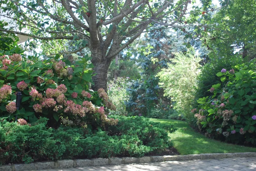 Custom garden landscaping in East Quogue, NY by TLC Tree And Lawncare