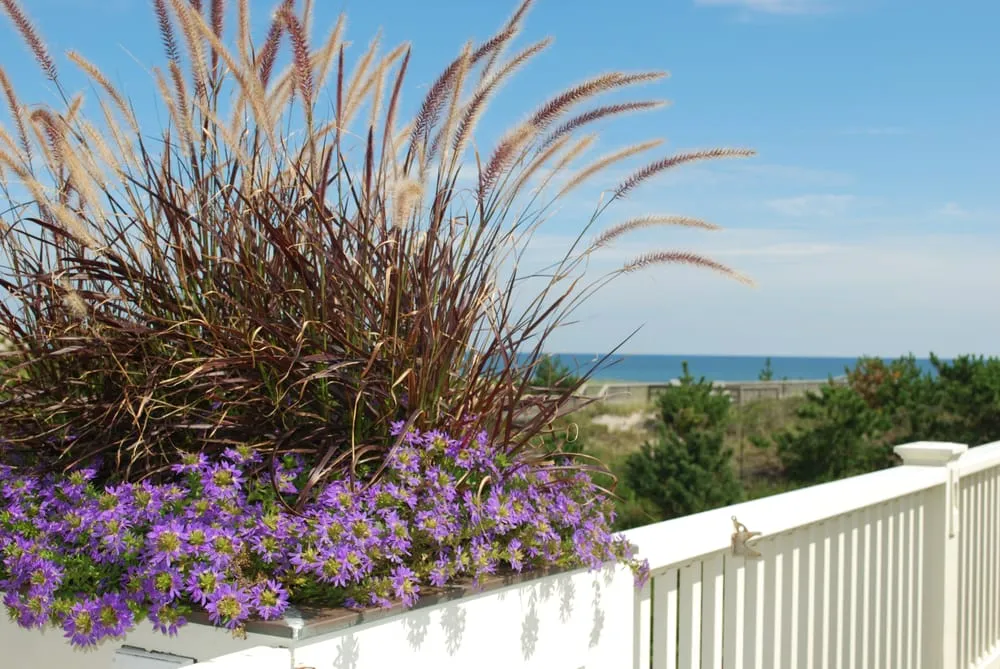 Local residential landscaping in East Quogue, NY by TLC Tree And Lawncare