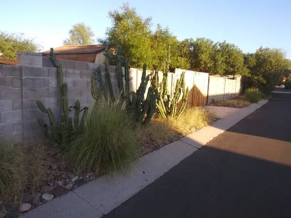 Professional landscaping services near you across Tucson, AZ - TLC Tucson Landscape Construction