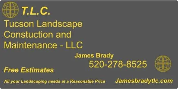 Affordable yard maintenance experts serving Tucson, AZ - TLC Tucson Landscape Construction