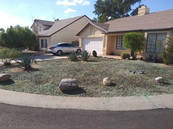 Top-rated outdoor landscaping for year-round maintenance in Tucson, AZ by TLC Tucson Landscape Construction