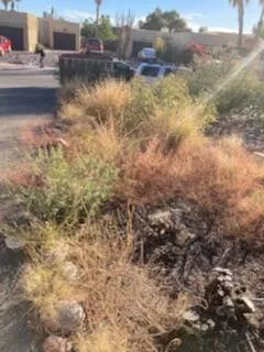 Professional garden landscaping experts serving Tucson, AZ - TLC Tucson Landscape Construction