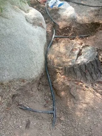 Local landscape installation experts serving Tucson, AZ - TLC Tucson Landscape Construction