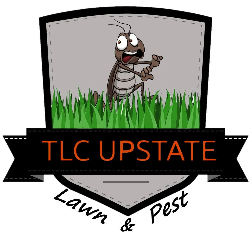 Expert yard cleanup service experts serving Mauldin, SC - TLC Upstate Lawn and Pest