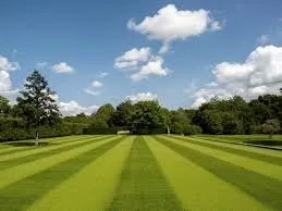 Custom lawn care service for homes across Lowell, MI - TLCscapes