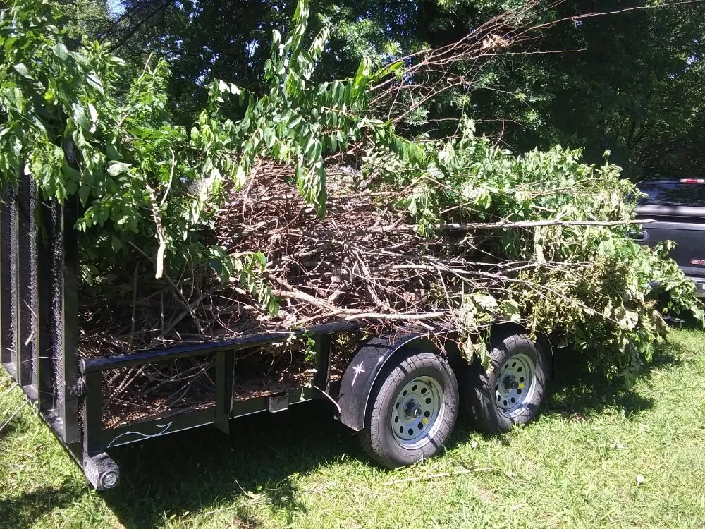 Professional yard maintenance in Chelsea, OK by TLG Lawn & Landscape