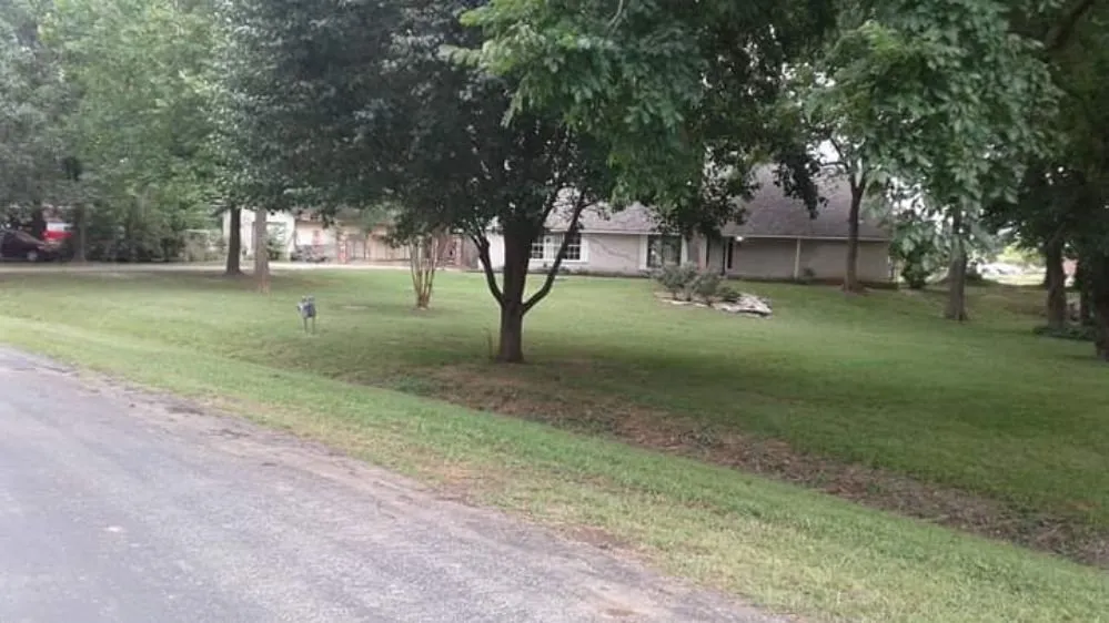 Top-rated yard maintenance experts serving Chelsea, OK - TLG Lawn & Landscape