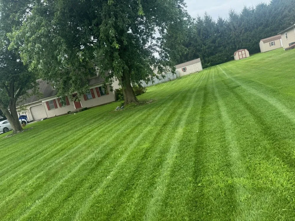 Top-rated landscape installation in Steelton, PA by TLK-Home Services