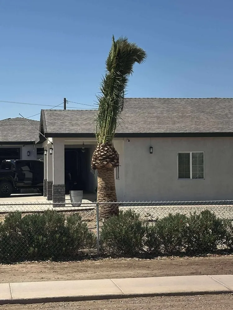 Expert yard maintenance in Salton Sea Beach, CA by TLM Landscaping Maintenance