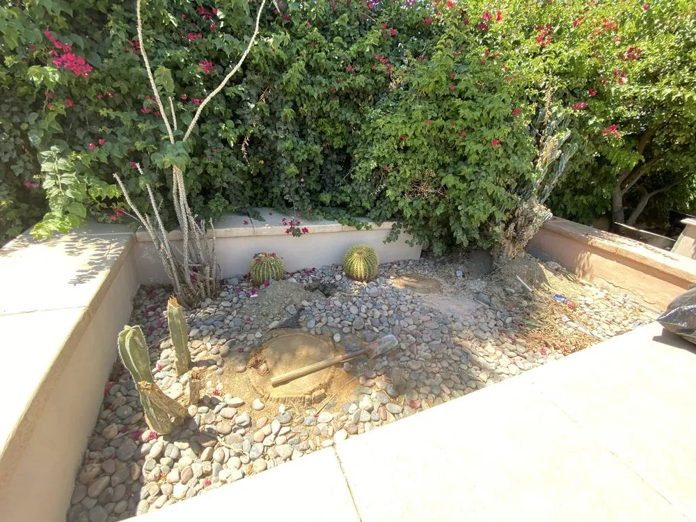 Expert landscape design in Salton Sea Beach, CA by TLM Landscaping Maintenance