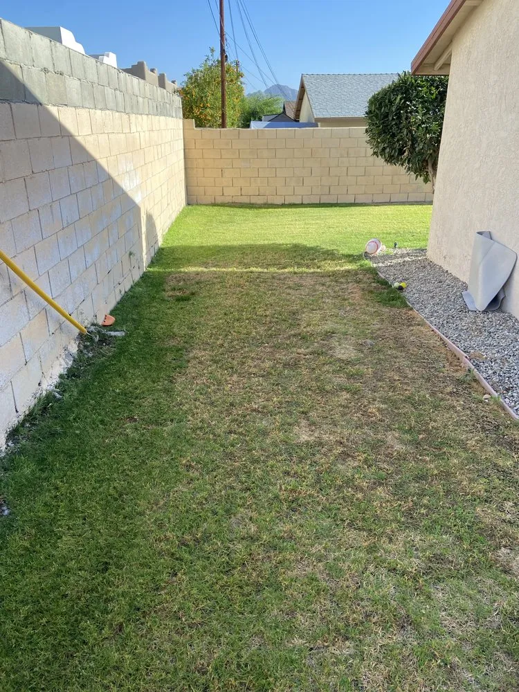 Trusted lawn mowing service in Salton Sea Beach, CA by TLM Landscaping Maintenance