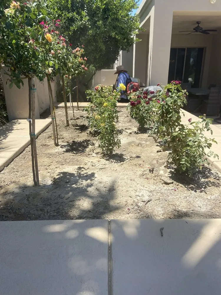 Affordable lawn care service experts serving Salton Sea Beach, CA - TLM Landscaping Maintenance