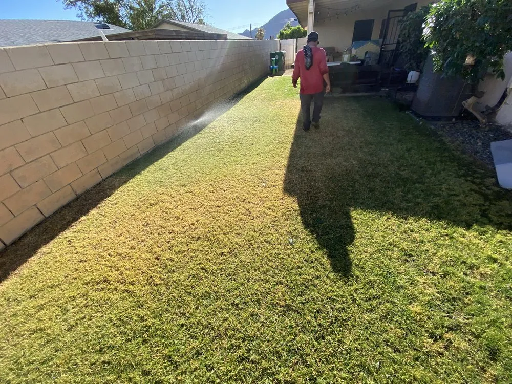 Reliable outdoor landscaping for homes in Salton Sea Beach, CA by TLM Landscaping Maintenance