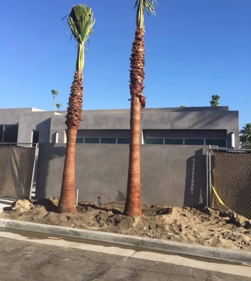 Trusted lawn care service experts serving Salton Sea Beach, CA - TLM Landscaping Maintenance