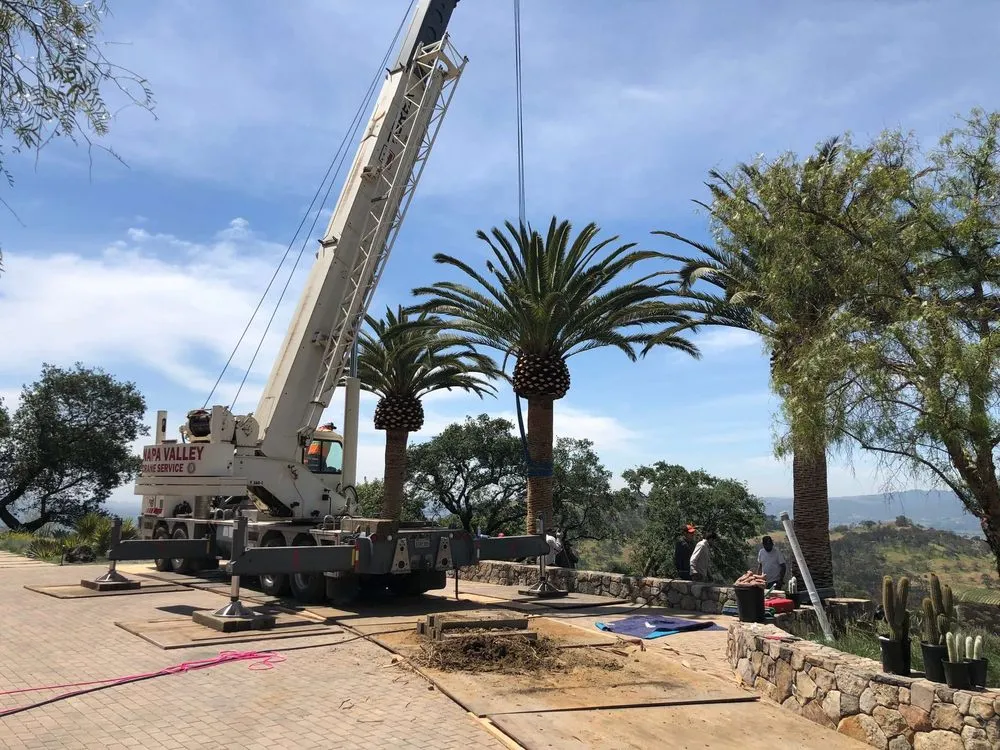 Expert landscape installation in Salton Sea Beach, CA by TLM Landscaping Maintenance