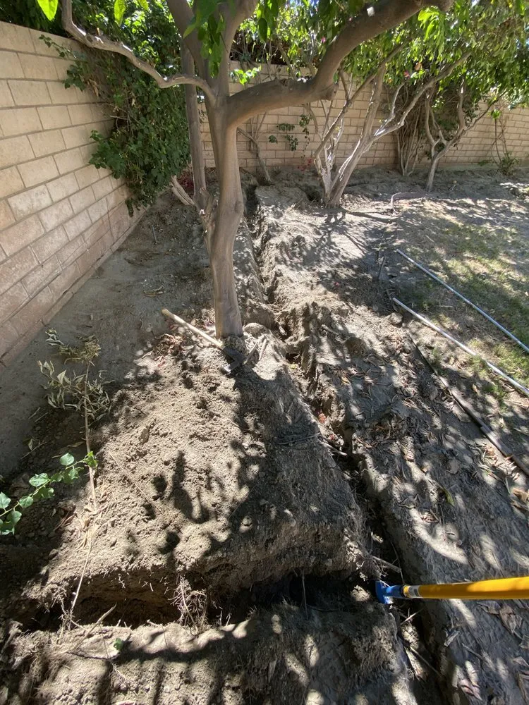 Affordable outdoor landscaping in Salton Sea Beach, CA by TLM Landscaping Maintenance
