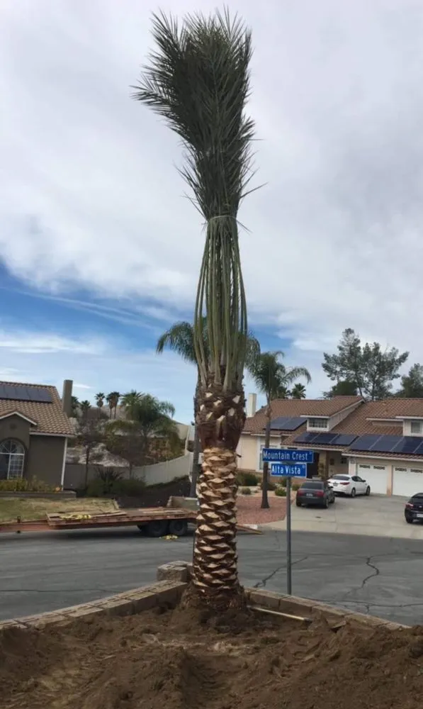 Custom outdoor landscaping in Salton Sea Beach, CA - TLM Landscaping Maintenance