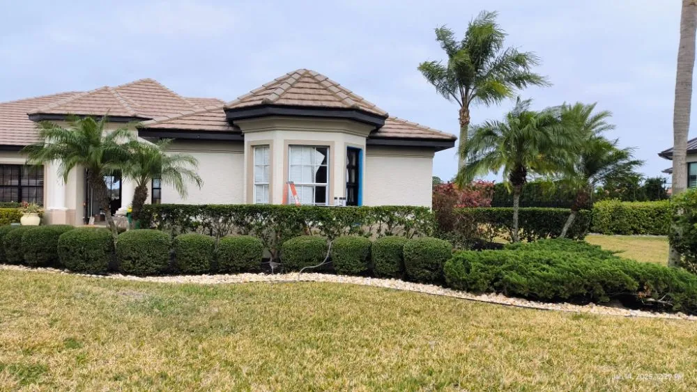 Trusted lawn mowing service for beautiful yards across Palm Bay, FL - Tlo Tile And Home Repairs