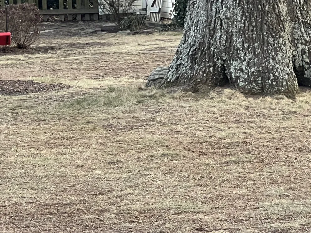 Expert landscape installation for beautiful yards across Tappahannock, VA - Tlp Landscaping & Junk Removal