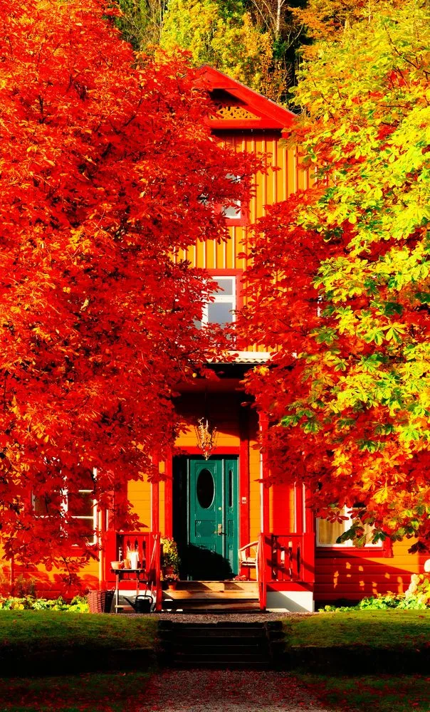 Trusted garden landscaping in Tappahannock, VA - Tlp Landscaping & Junk Removal