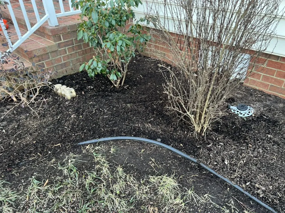 Affordable lawn mowing service experts serving Tappahannock, VA - Tlp Landscaping & Junk Removal