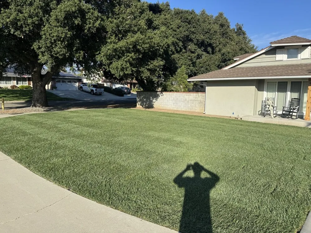 Local garden landscaping for beautiful yards in Riverside, CA by TLS Landscaping