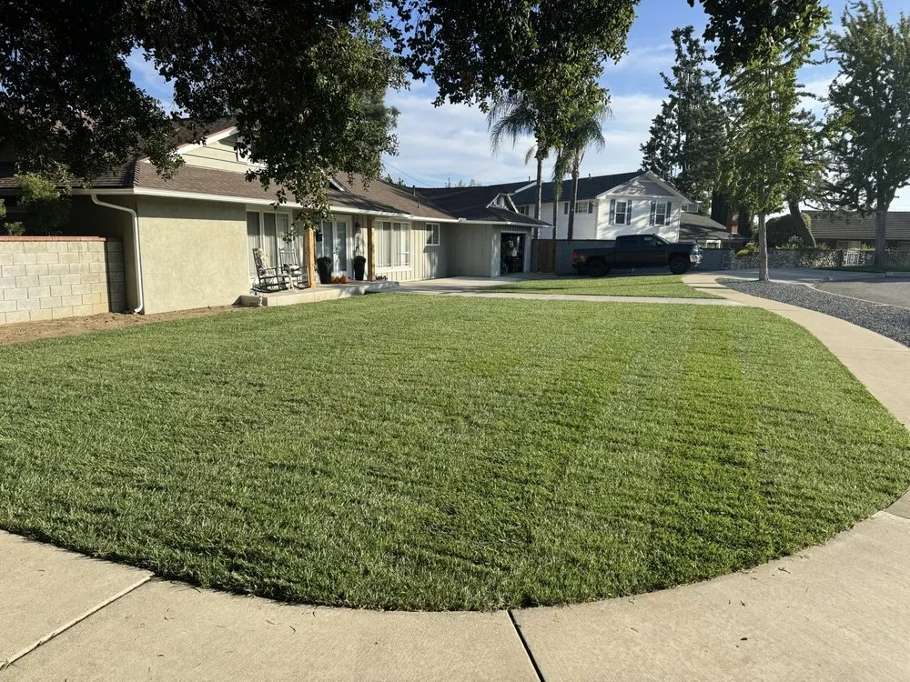 Local yard maintenance experts serving Riverside, CA - TLS Landscaping