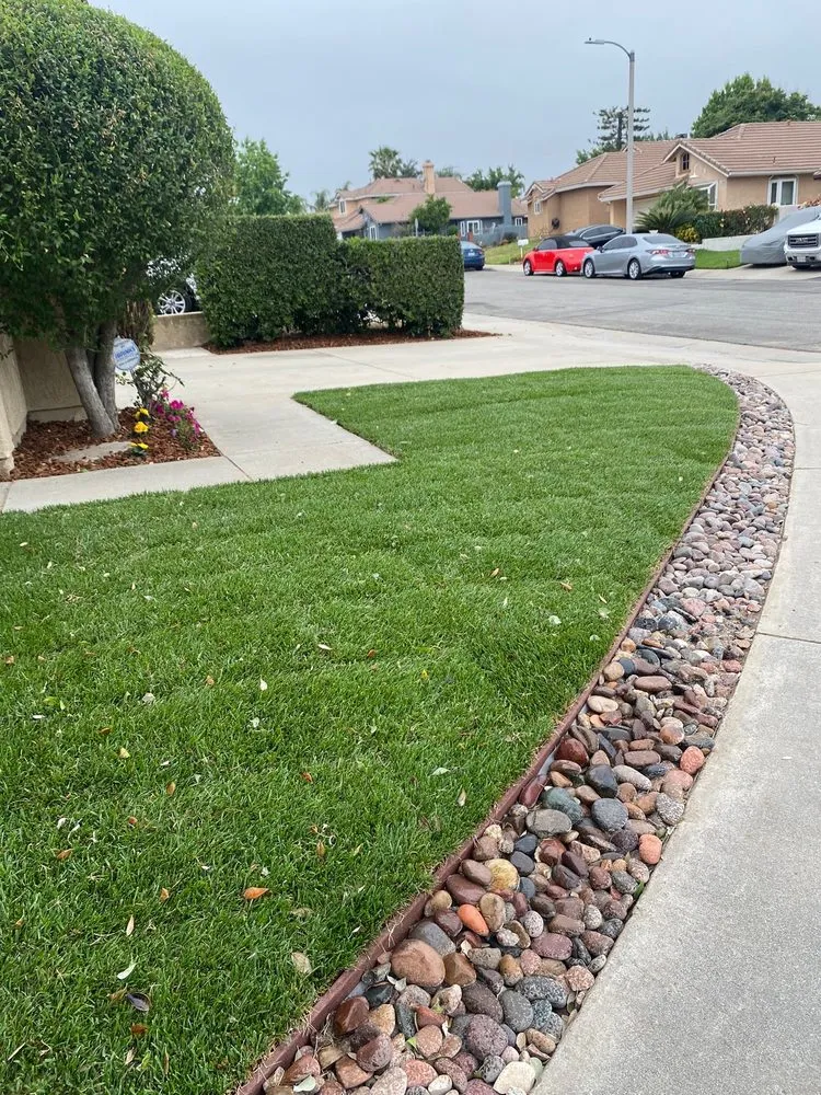 Professional residential landscaping experts serving Riverside, CA - TLS Landscaping