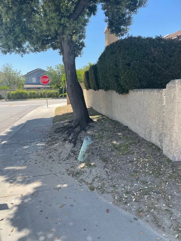 Expert residential landscaping for homes in Riverside, CA by TLS Landscaping