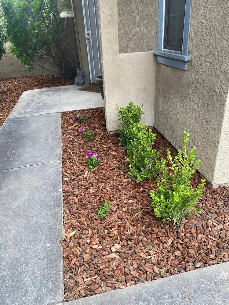 Affordable residential landscaping for outdoor upgrades in Riverside, CA by TLS Landscaping