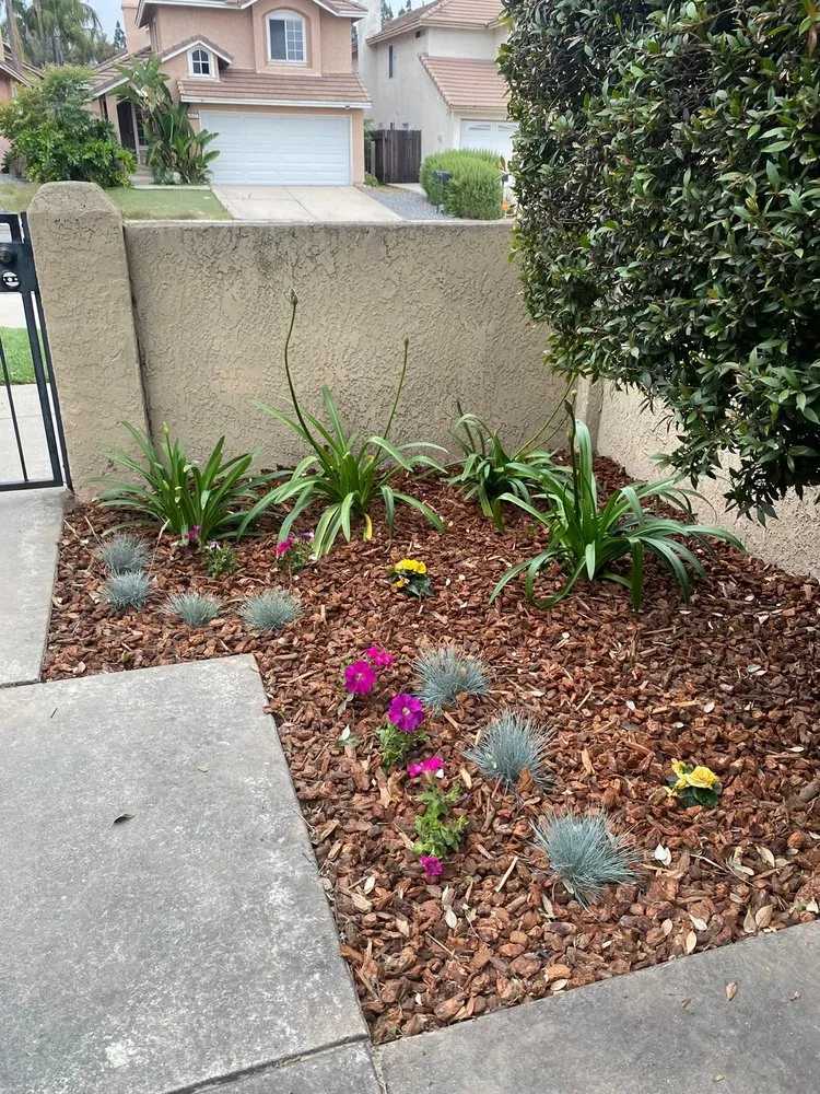 Top-rated outdoor landscaping for year-round maintenance in Riverside, CA by TLS Landscaping