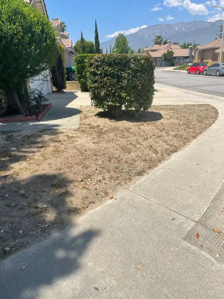 Top-rated outdoor landscaping in Riverside, CA by TLS Landscaping