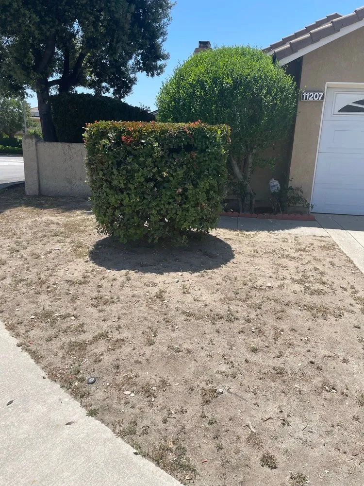 Professional outdoor landscaping for beautiful yards across Riverside, CA - TLS Landscaping