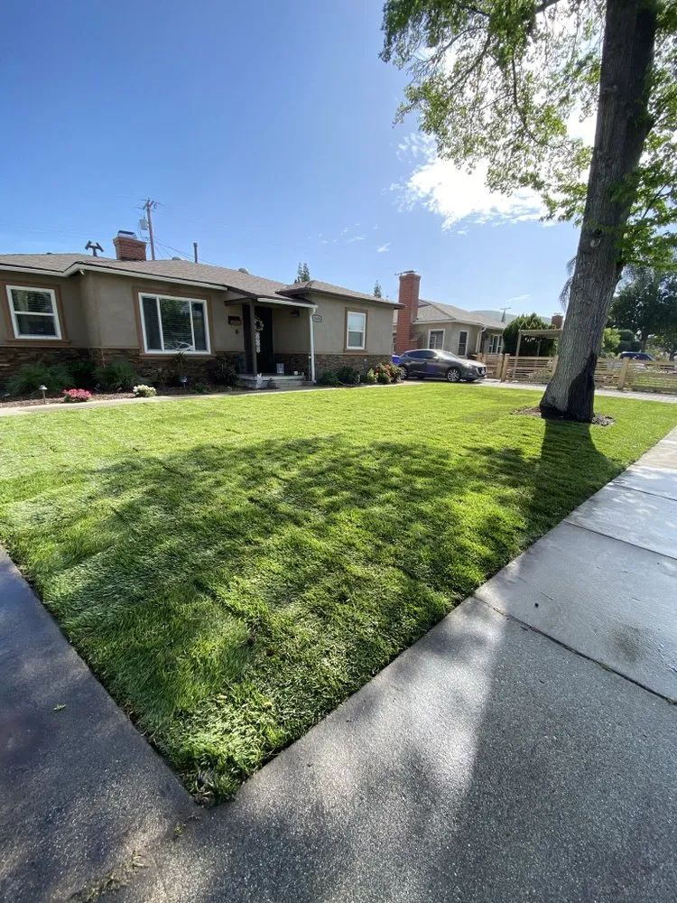 Reliable garden landscaping for year-round maintenance in Riverside, CA by TLS Landscaping