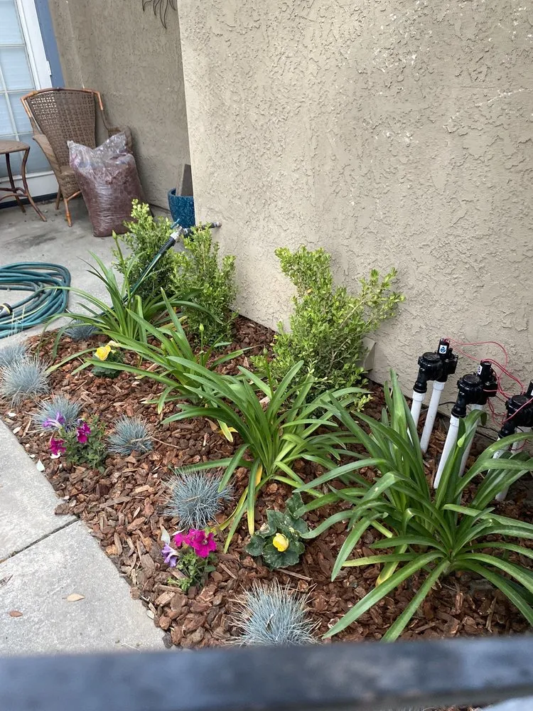 Custom yard cleanup service in Riverside, CA - TLS Landscaping