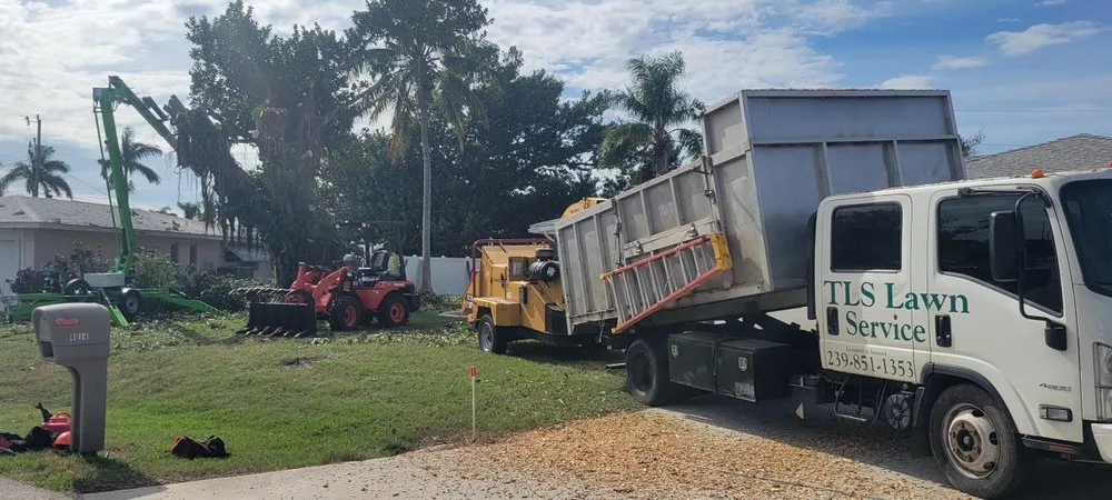 Expert yard cleanup service in Fort Myers, FL - TLS Lawn & Tree Service