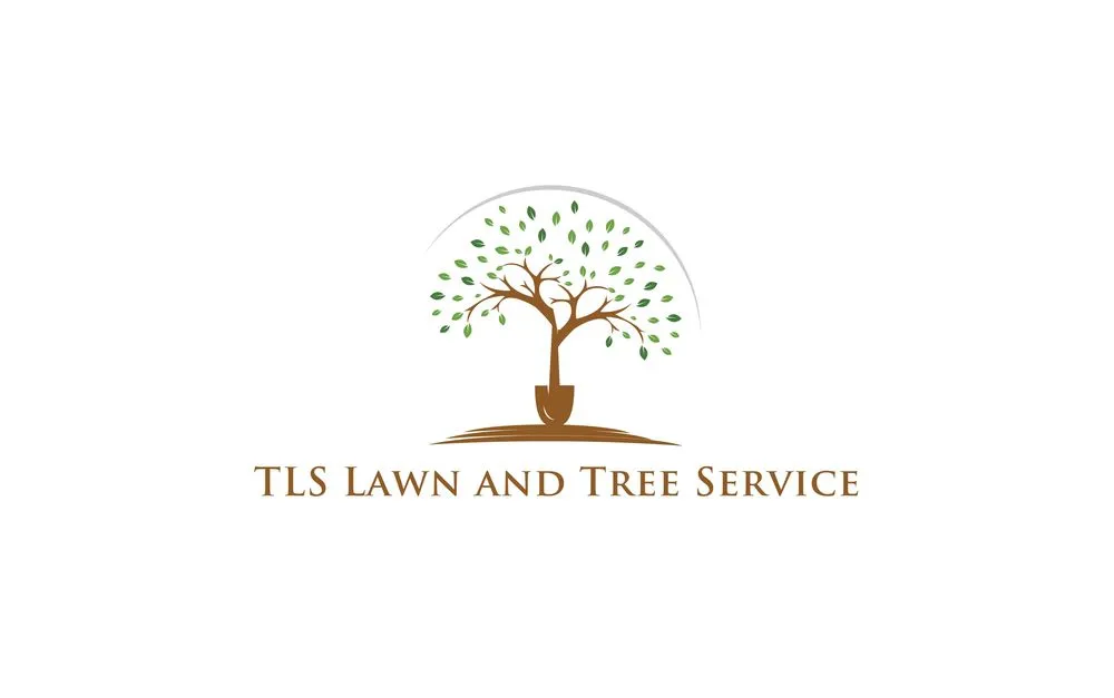 Local lawn care service experts serving Fort Myers, FL - TLS Lawn & Tree Service