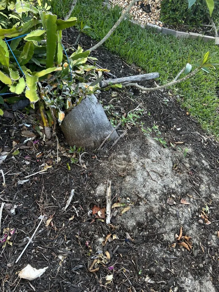 Expert garden landscaping for beautiful yards in Fort Myers, FL by TLS Lawn & Tree Service