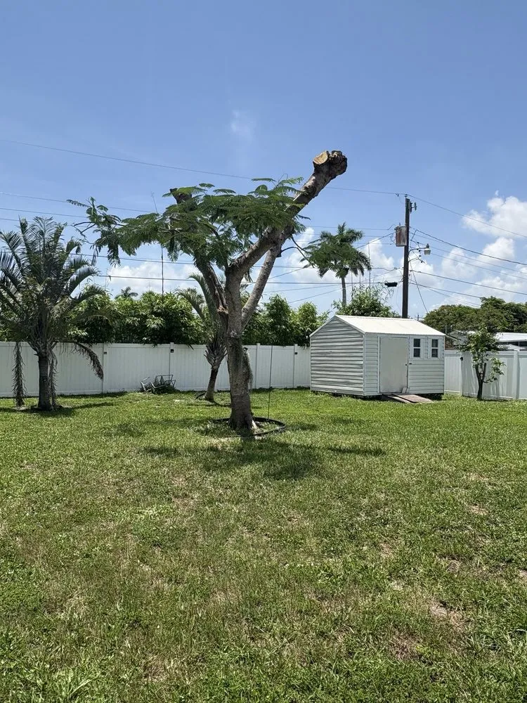 Local yard cleanup service for beautiful yards across Fort Myers, FL - TLS Lawn & Tree Service