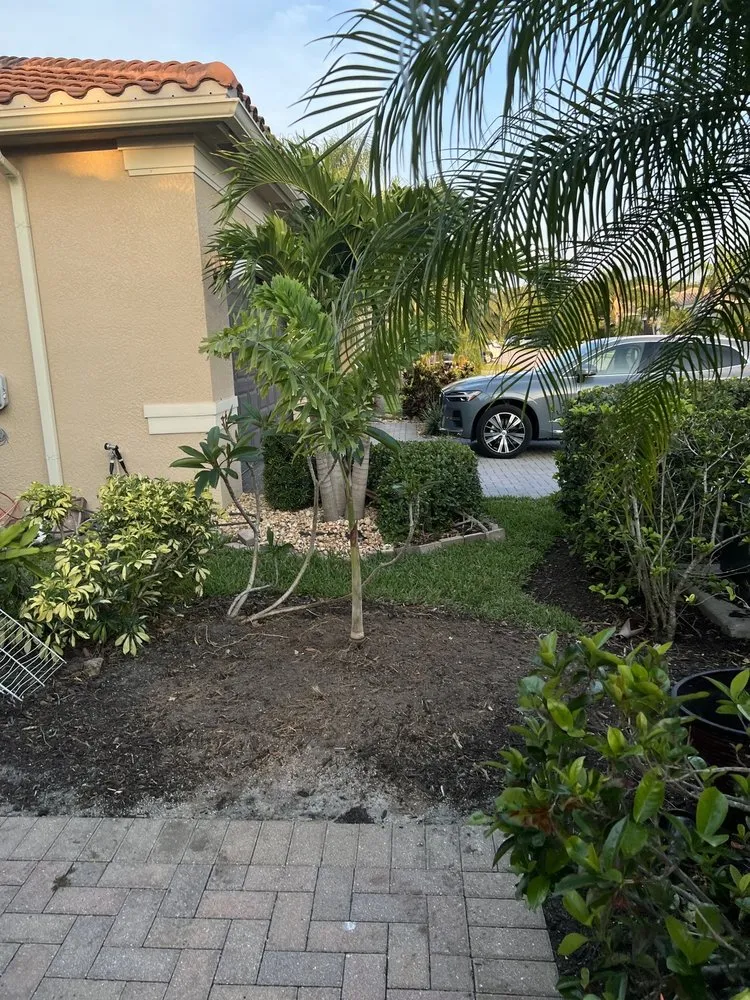 Professional residential landscaping for residential properties across Fort Myers, FL - TLS Lawn & Tree Service