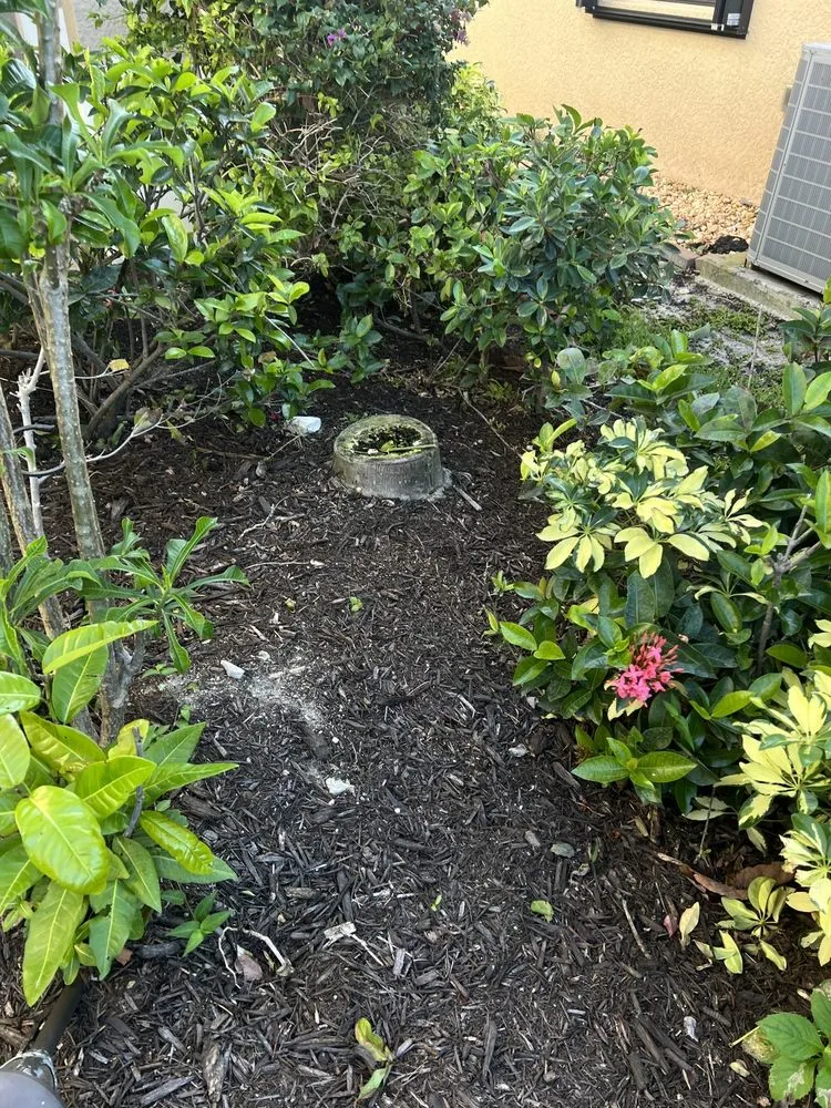 Professional outdoor landscaping in Fort Myers, FL by TLS Lawn & Tree Service