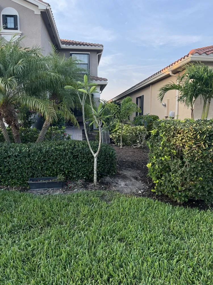 Professional garden landscaping experts serving Fort Myers, FL - TLS Lawn & Tree Service