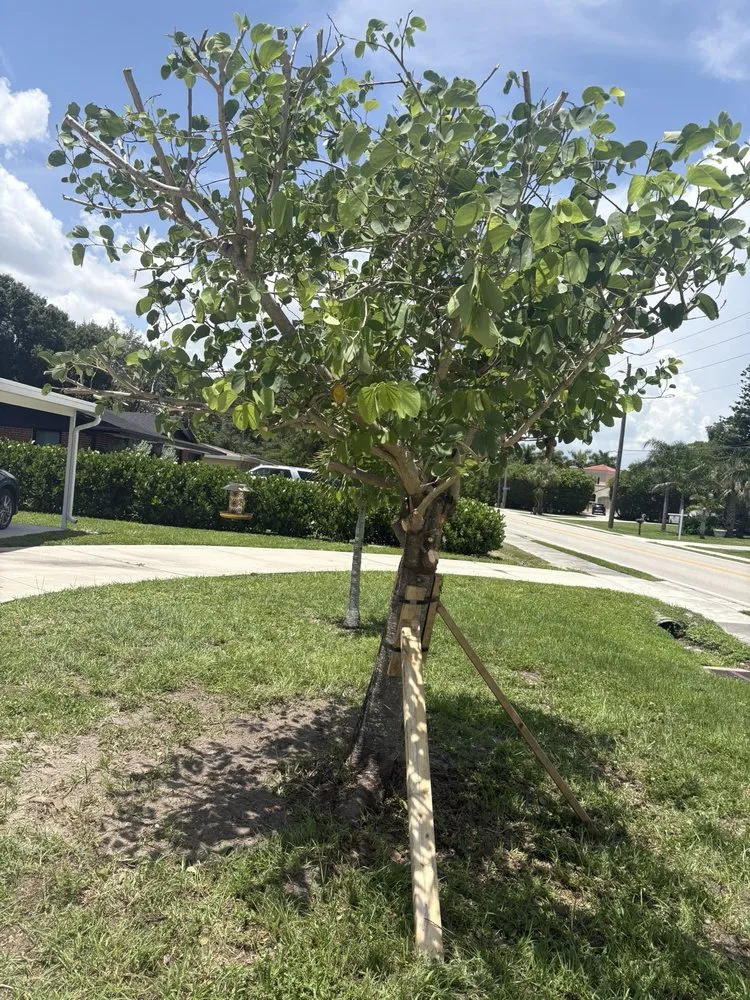 Custom garden landscaping in Fort Myers, FL - TLS Lawn & Tree Service