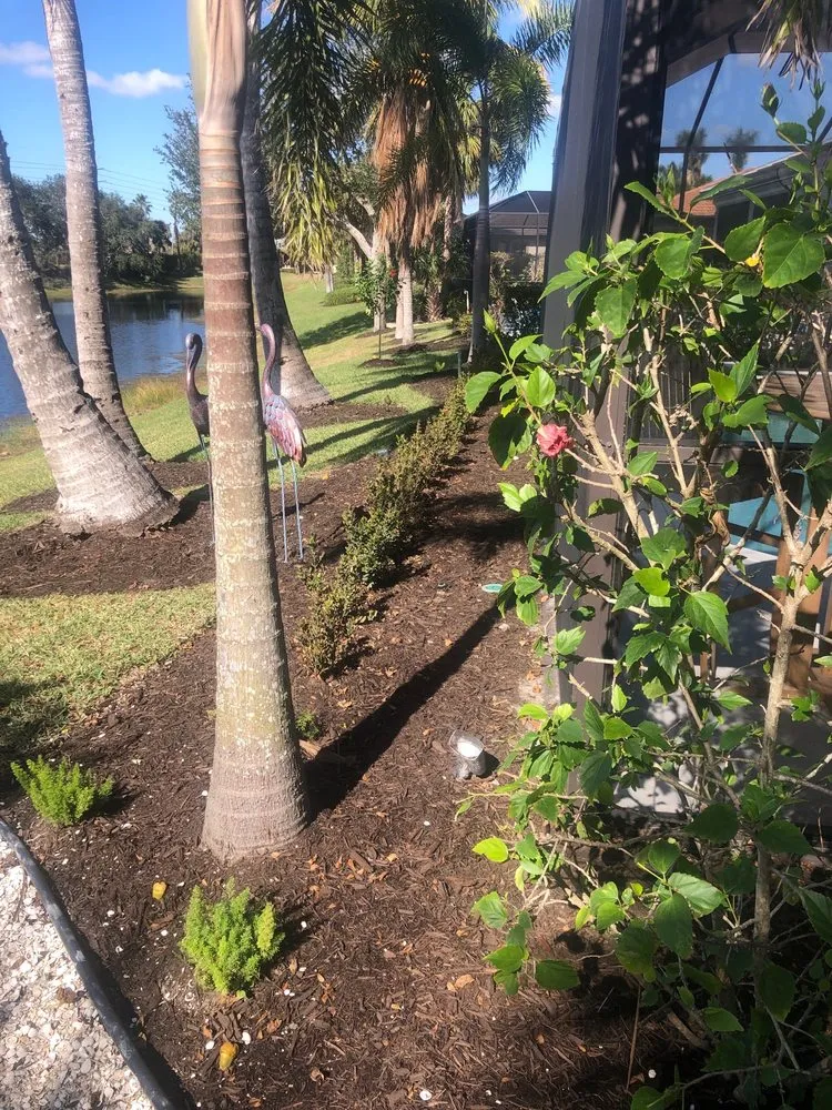 Professional landscaping services in Fort Myers, FL by TLS Lawn & Tree Service