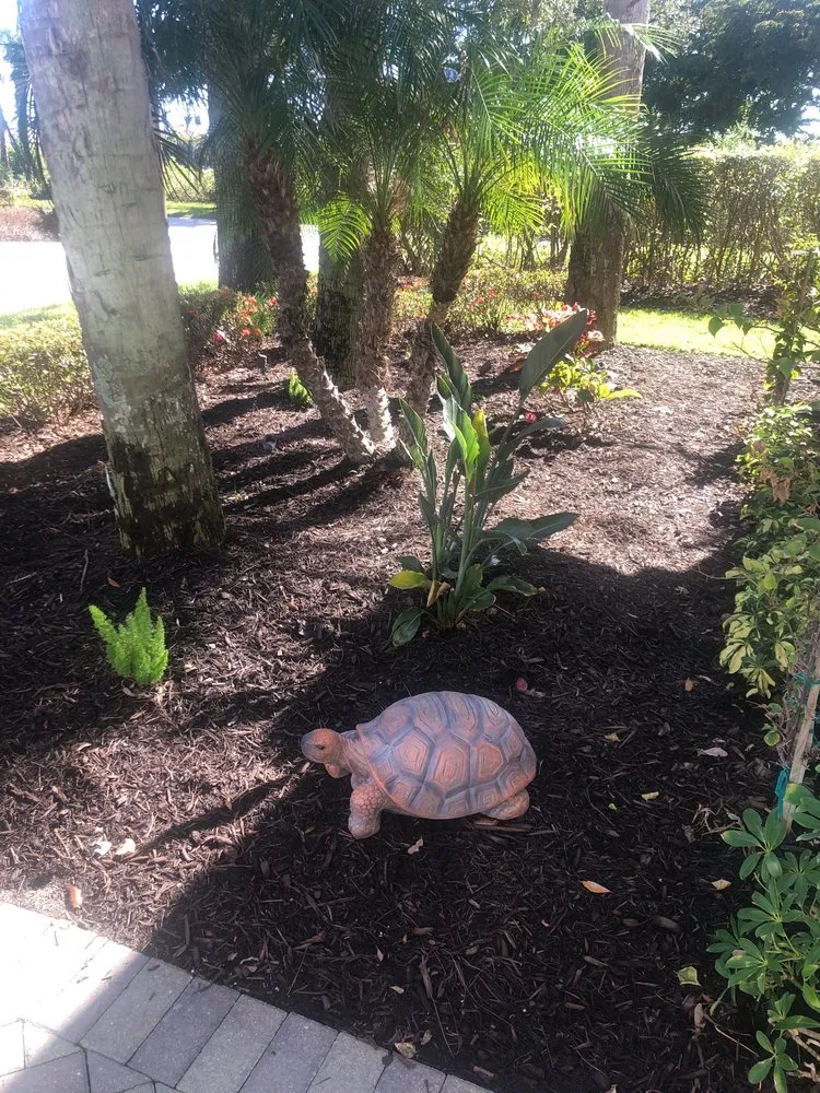 Expert yard cleanup service in Fort Myers, FL by TLS Lawn & Tree Service