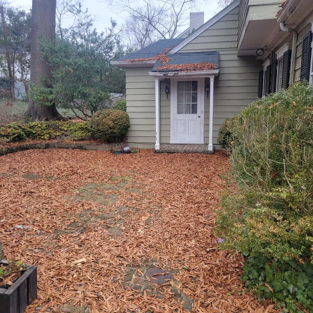 Local yard cleanup service for homes in Gibsonville, NC by TL's Lawn Care