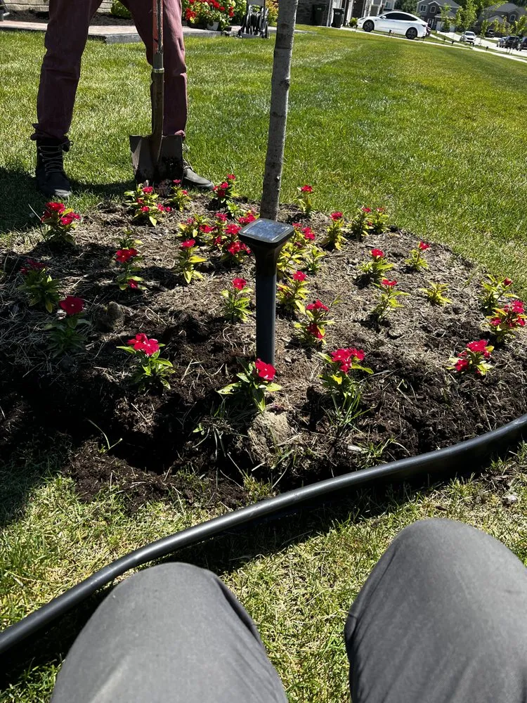 Trusted lawn care service for beautiful yards in Detroit, MI by TLT Lawncare & Snow Removal