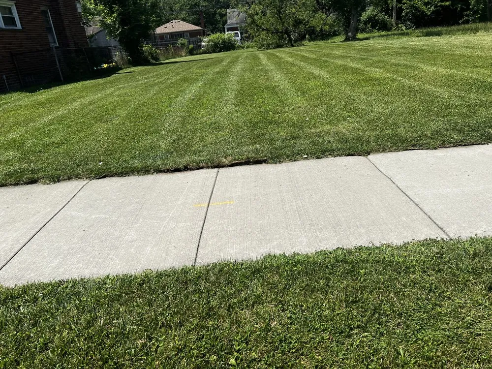 Custom yard maintenance in Detroit, MI by TLT Lawncare & Snow Removal